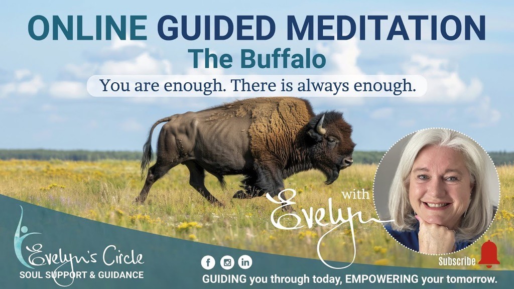 The buffalo